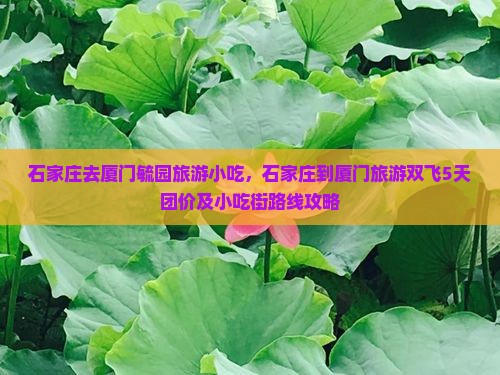 石家庄去厦门毓园旅游小吃
