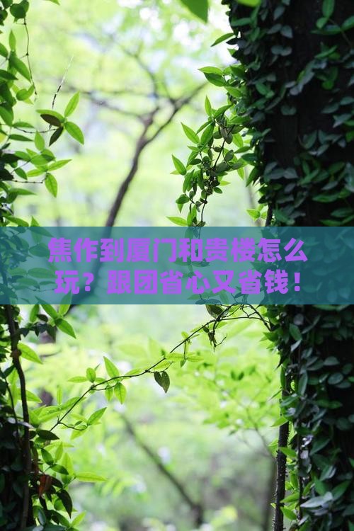 焦作到厦门和贵楼旅行社