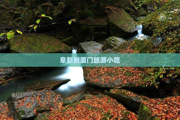 阜新到厦门旅游小吃 阜新到厦门旅游小吃