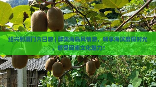 绍兴到厦门六日游