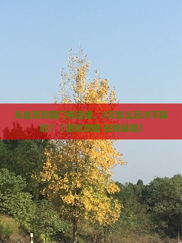 自贡到厦门怀远楼自由团