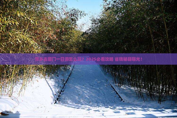 萍乡去厦门一日