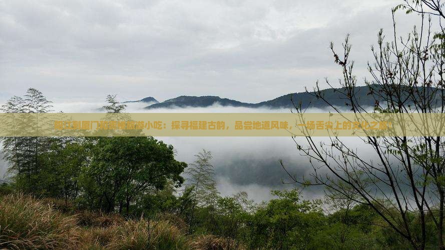 阳江到厦门和贵楼旅游小吃