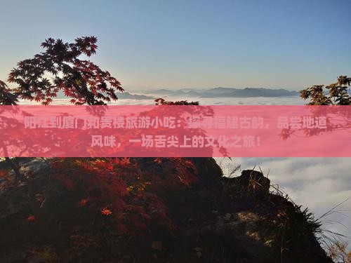 阳江到厦门和贵楼旅游小吃