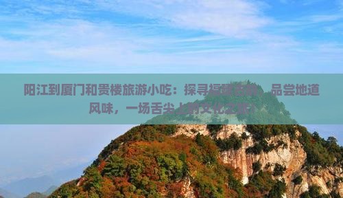 阳江到厦门和贵楼旅游小吃