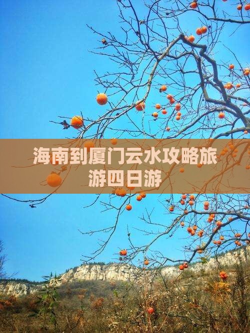 海南到厦门云水谣四日游