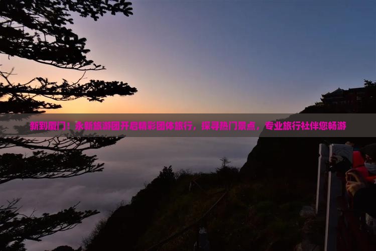 新到厦门!永新旅游团开启精彩团体旅行,探寻热门景点,专业旅行社伴您畅游 新到厦门!永新旅游团开启精彩团体旅行,探寻热门景点,专业旅行社伴您畅游