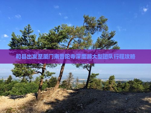 和县出发至厦门南普陀寺深度游大型团队行程攻略