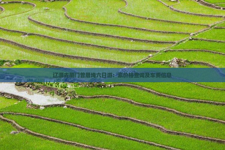 辽源去厦门曾厝埯六日游：票价格查询及车费信息