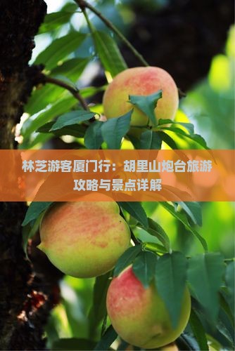 林芝游客厦门行：胡里山炮台旅游攻略与景点详解