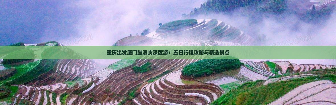 重庆出发厦门鼓浪屿深度游：五日行程攻略与精选景点