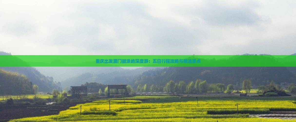重庆出发厦门鼓浪屿深度游：五日行程攻略与精选景点
