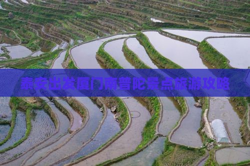 泰安出发厦门南普陀景点旅游攻略