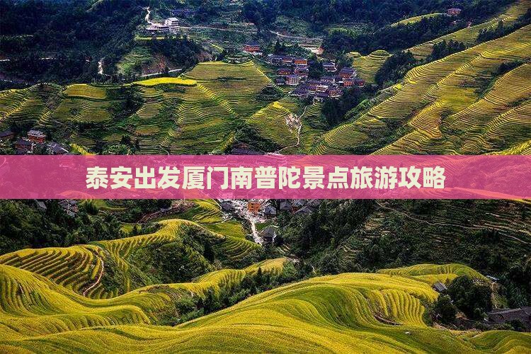 泰安出发厦门南普陀景点旅游攻略