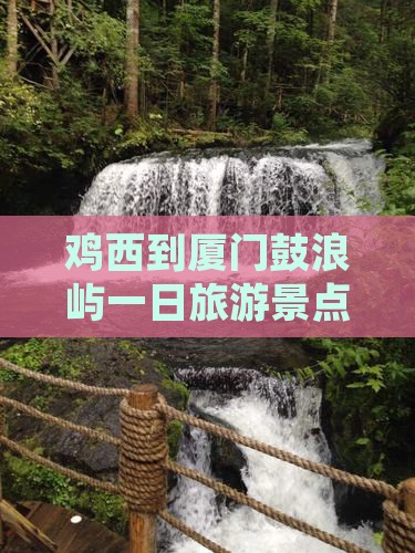 鸡西到厦门鼓浪屿一日旅游景点攻略