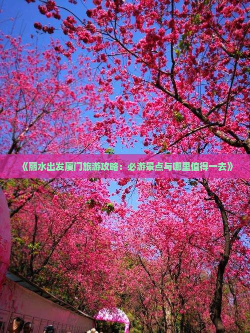 《丽水出发厦门旅游攻略：必游景点与哪里值得一去》