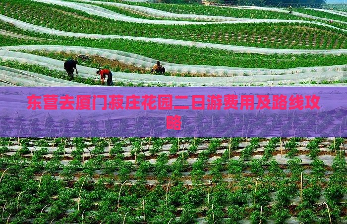 东营去厦门菽庄花园二日游费用及路线攻略