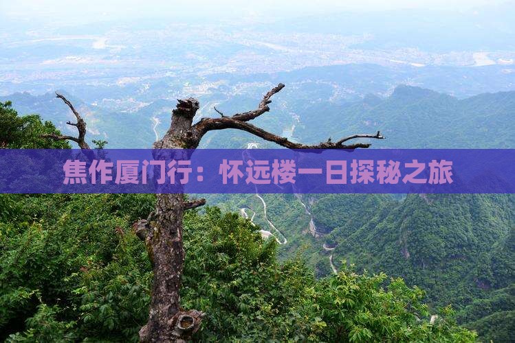 焦作厦门行：怀远楼一日探秘之旅