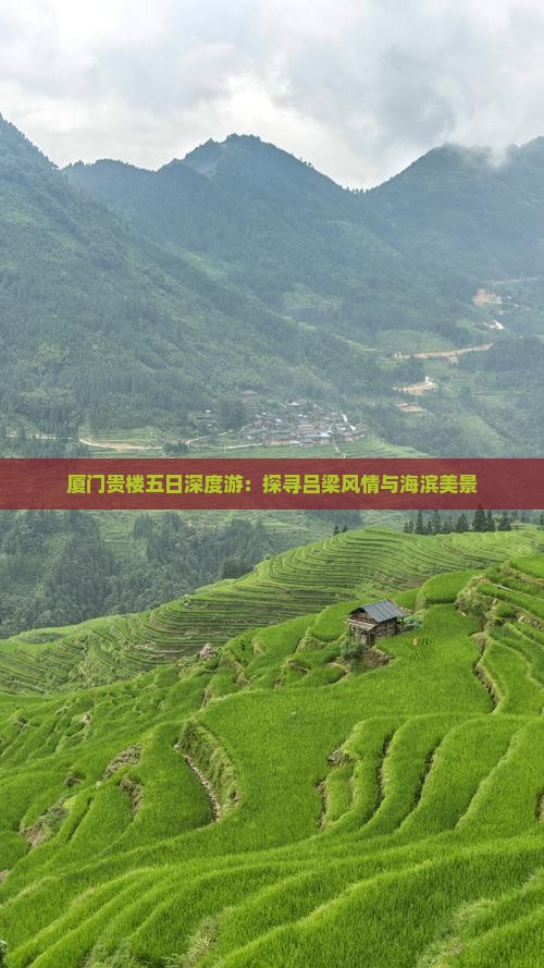 厦门贵楼五日深度游：探寻吕梁风情与海滨美景