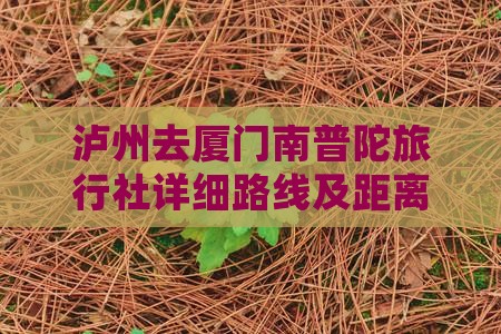 泸州去厦门南普陀旅行社详细路线及距离