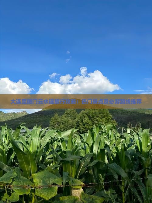 大连至厦门云水谣旅行攻略：热门景点及必游路线推荐