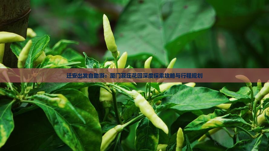 迁安出发自助游：厦门菽庄花园深度探索攻略与行程规划
