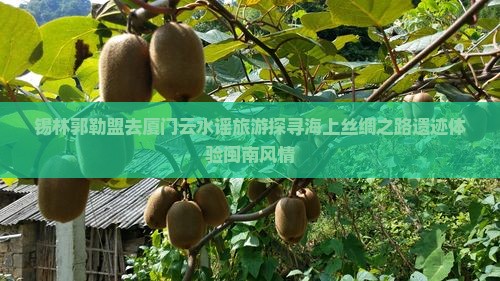 锡林郭勒盟去厦门云水谣旅游探寻海上丝绸之路遗迹体验闽南风情
