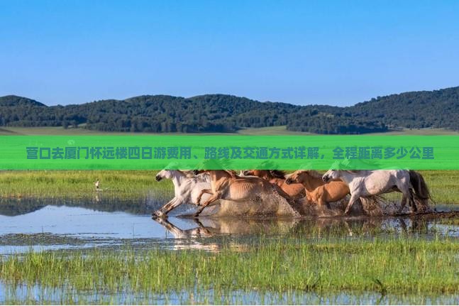 营口去厦门怀远楼四日游费用、路线及交通方式详解，全程距离多少公里