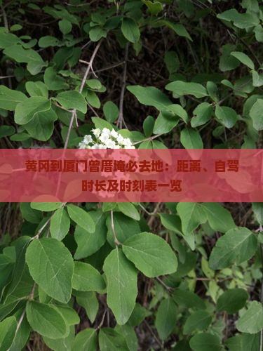黄冈到厦门曾厝埯必去地：距离、自驾时长及时刻表一览