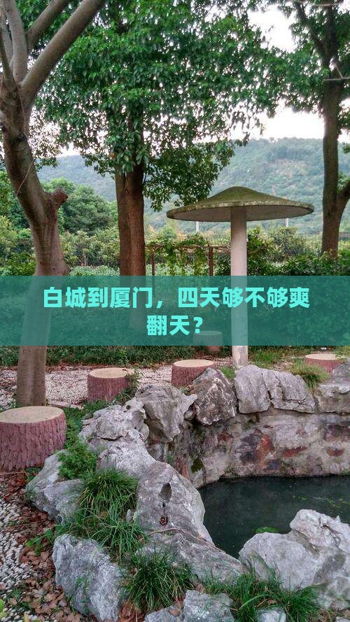 白城到厦门四日游