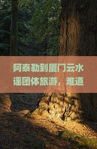 阿泰勒到厦门云水谣团体旅游