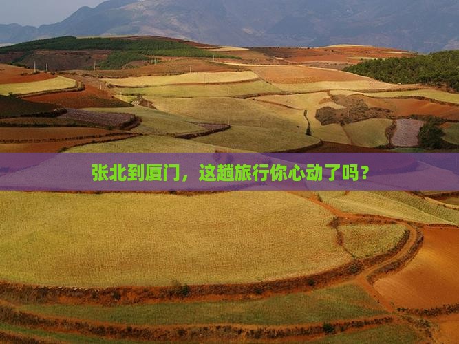 张北到厦门旅行社
