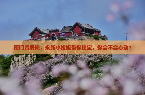永新去厦门曾厝埯攻略