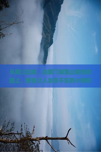 阳江到厦门胡里山炮台旅游小吃