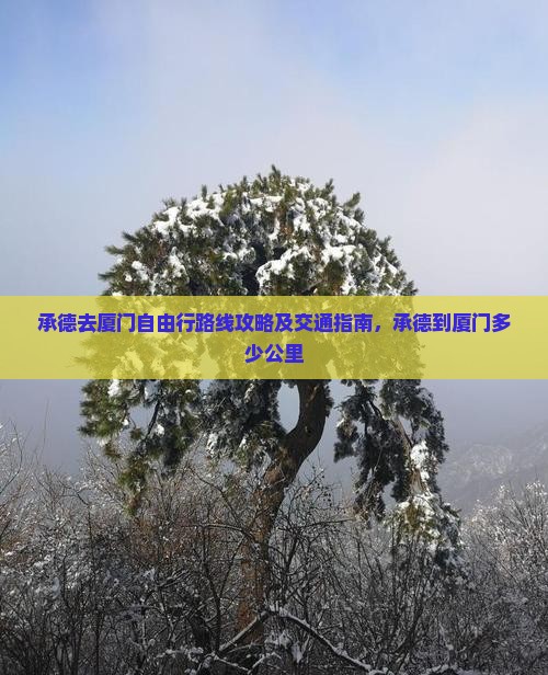 承德去厦门自由行