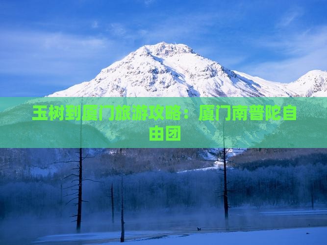玉树到厦门南普陀自由团