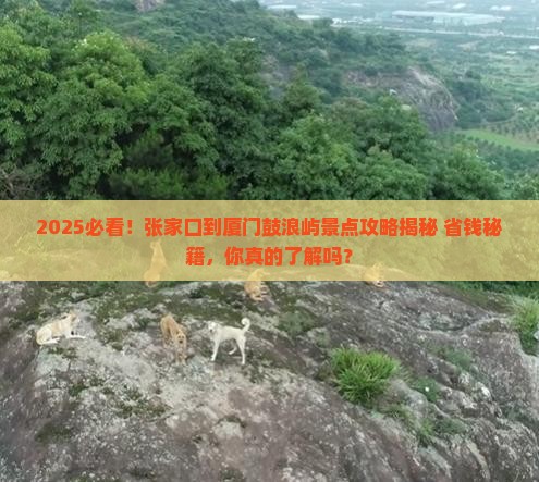 张家口到厦门鼓浪屿景点