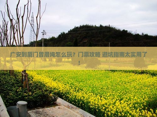 广安到厦门曾厝埯门票
