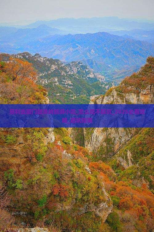 垦利去厦门鼓浪屿旅游小吃