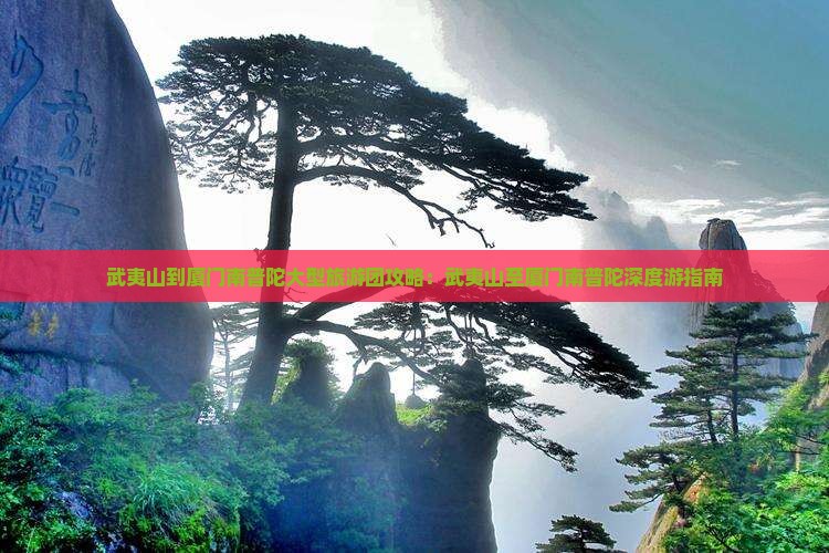 武夷山到厦门南普陀大型旅游团