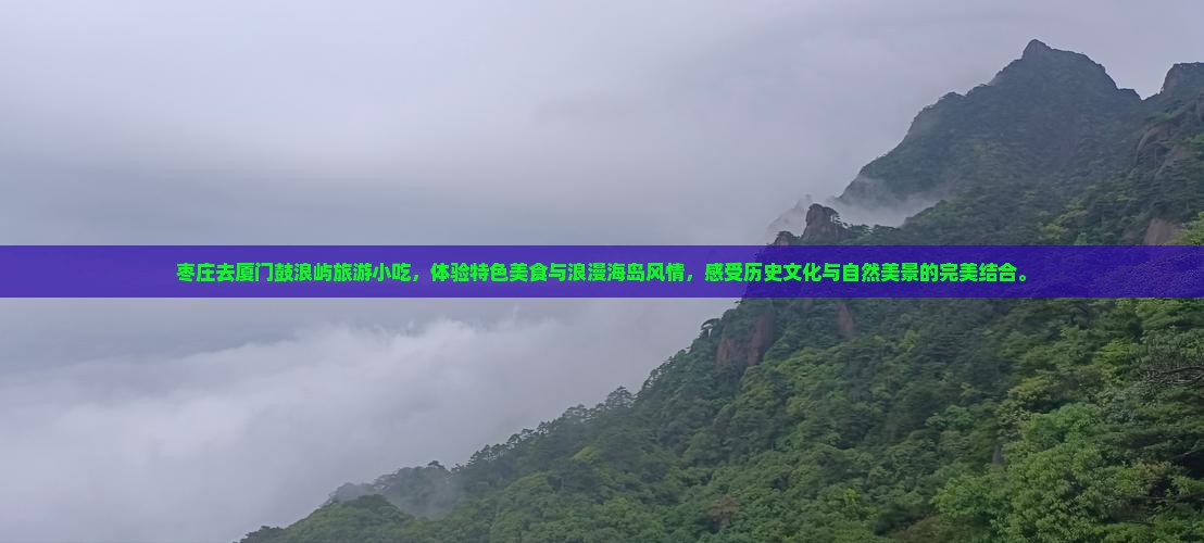 枣庄去厦门鼓浪屿旅游小吃