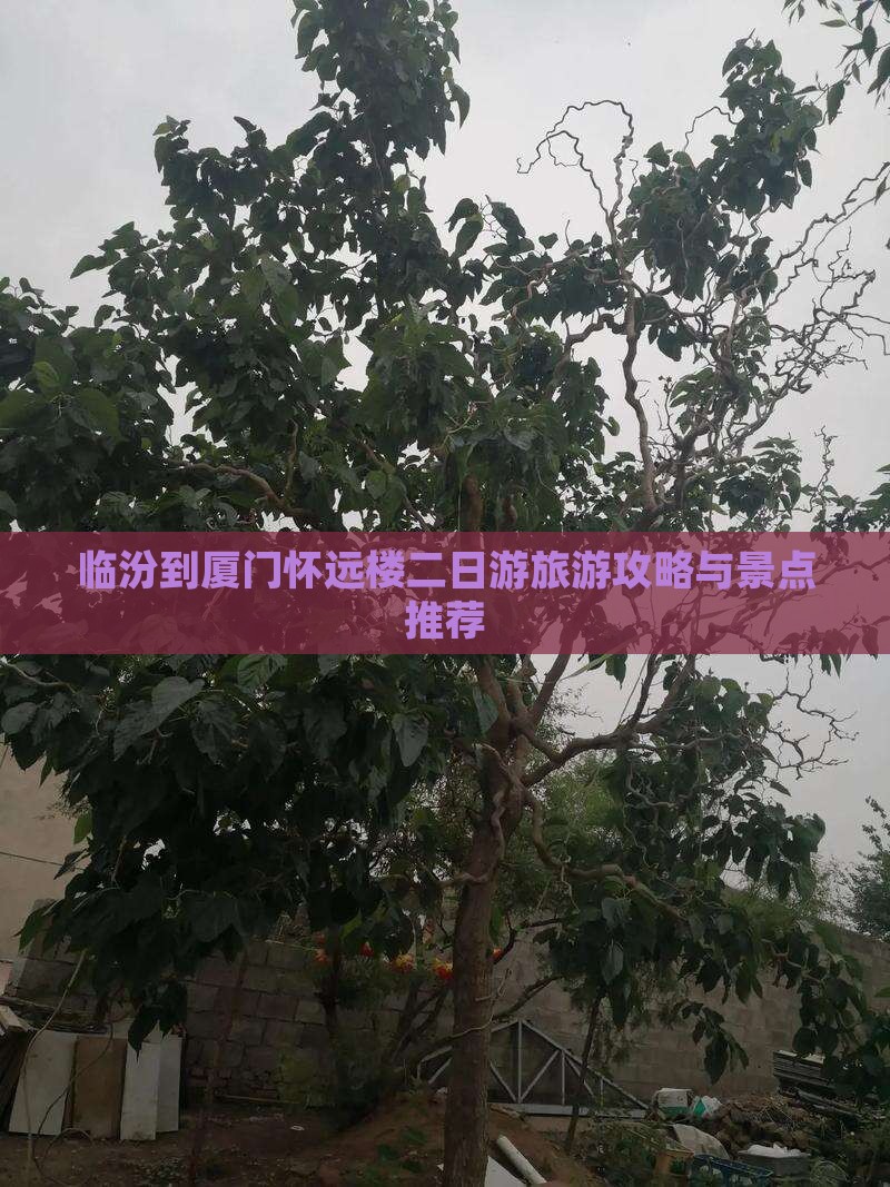 临汾到厦门怀远楼二日游