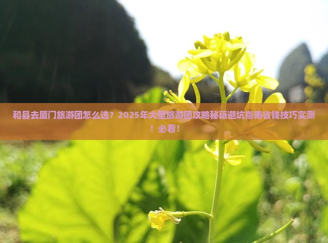 和县去厦门大型旅游团