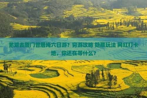 芜湖去厦门曾厝埯六日游