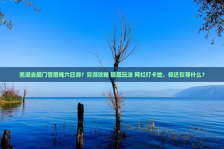 芜湖去厦门曾厝埯六日游