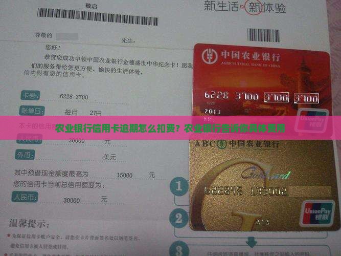 农业银行信用卡逾期怎么扣费？农业银行告诉你具体费用