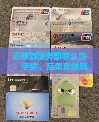 逾期到法务部怎么办：手续、后果及通知