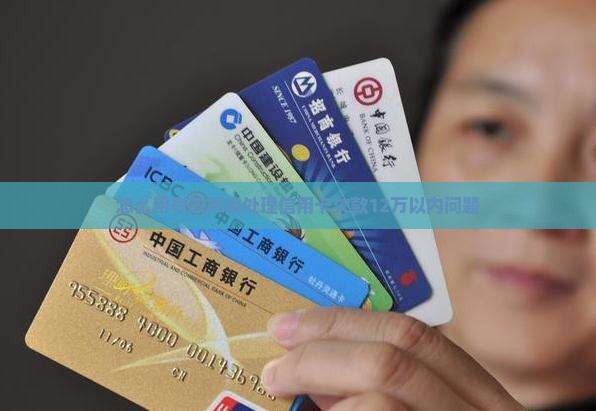 怎么用有效方法处理信用卡欠款12万以内问题