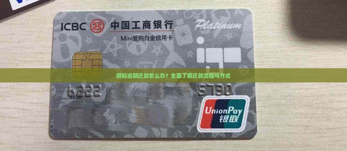 微粒逾期还款怎么办？全面了解还款流程与方式