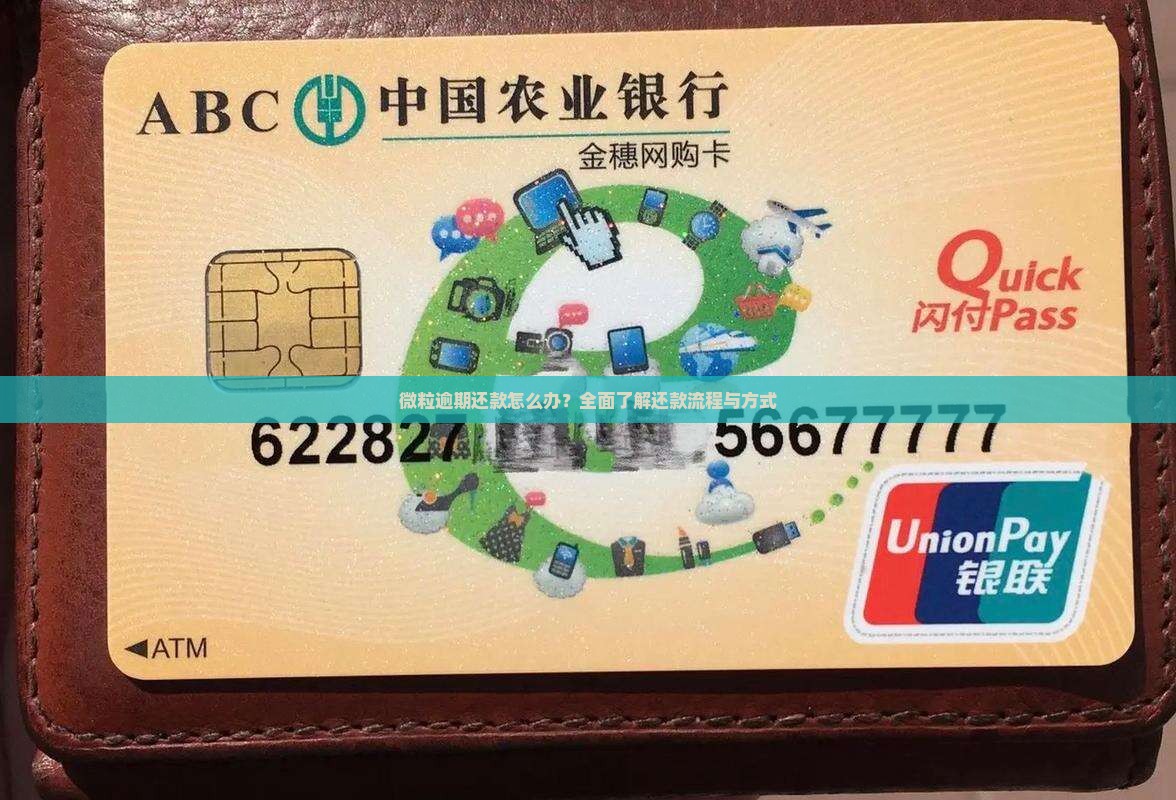 微粒逾期还款怎么办？全面了解还款流程与方式